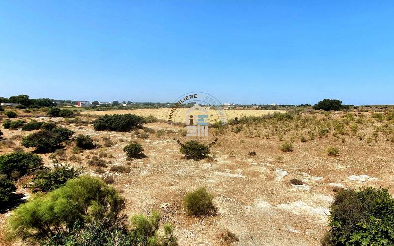 Vente_maison_Suire25