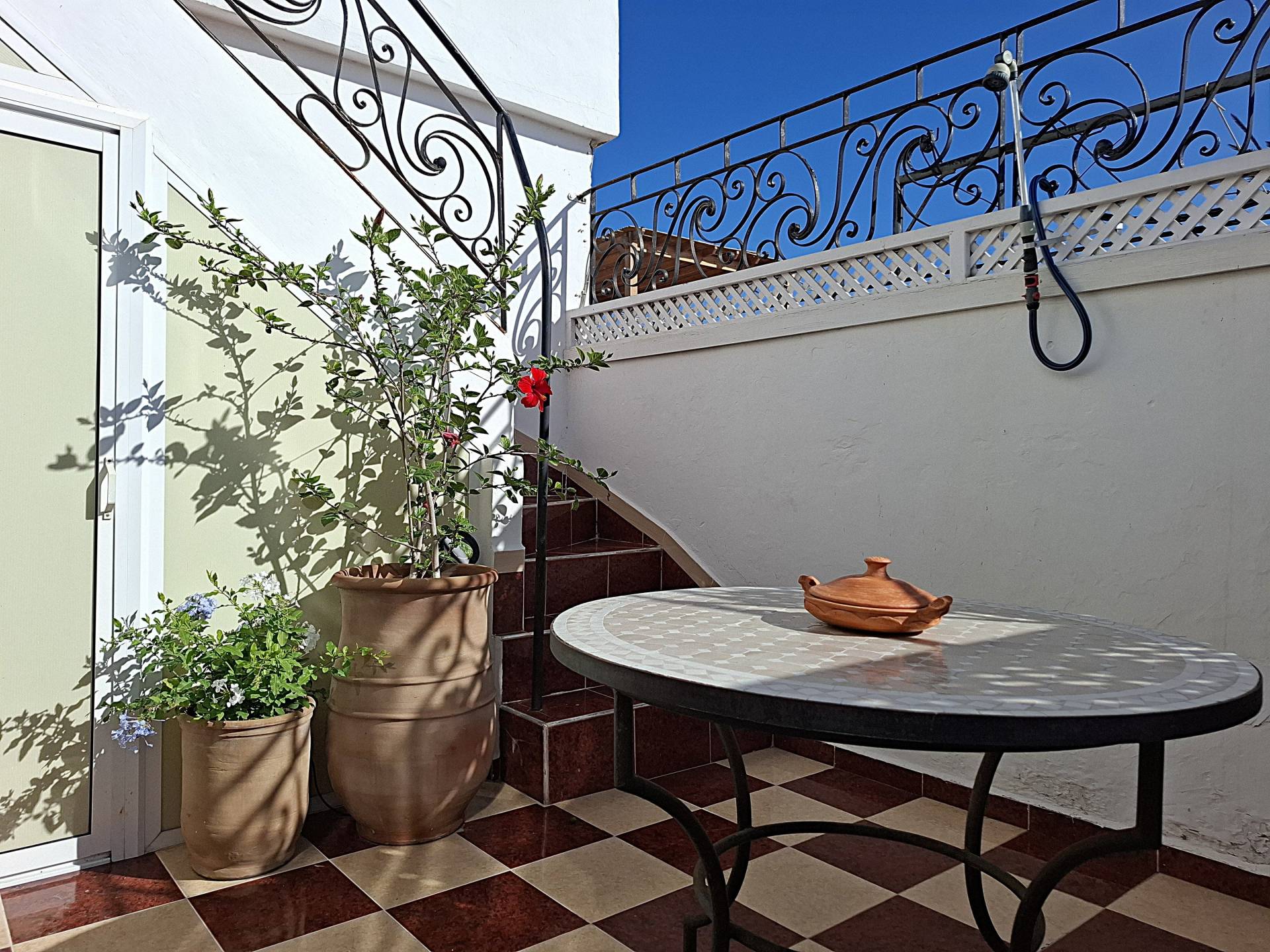 Appartement chaleureux, deux terrasses  (25)